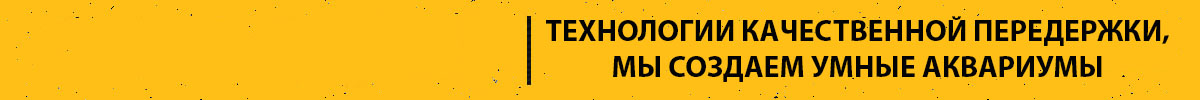 Seaoysters баннер